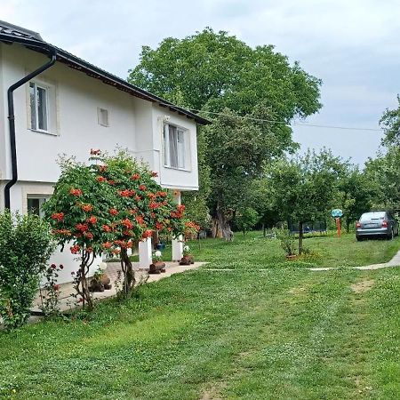 Affittacamere Casa Pandrea Cîrţişoara Esterno foto