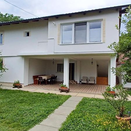Affittacamere Casa Pandrea Cîrţişoara Esterno foto