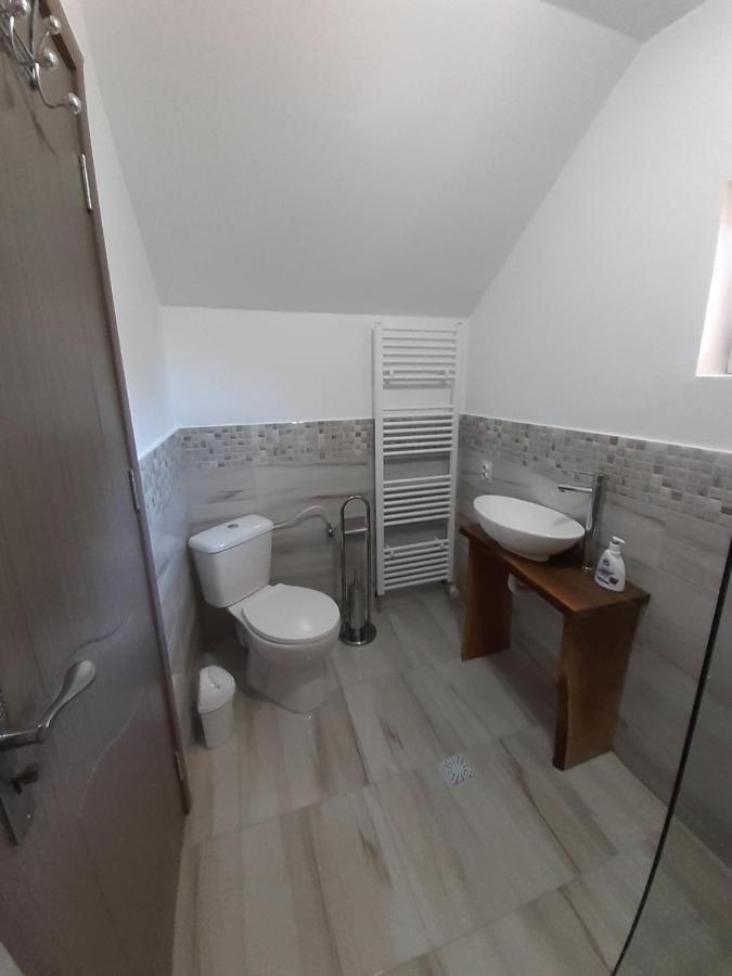 Affittacamere Casa Pandrea Cîrţişoara Esterno foto