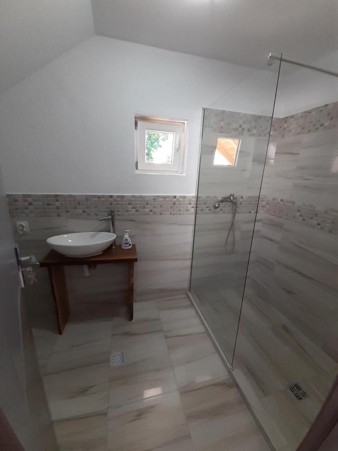 Affittacamere Casa Pandrea Cîrţişoara Esterno foto