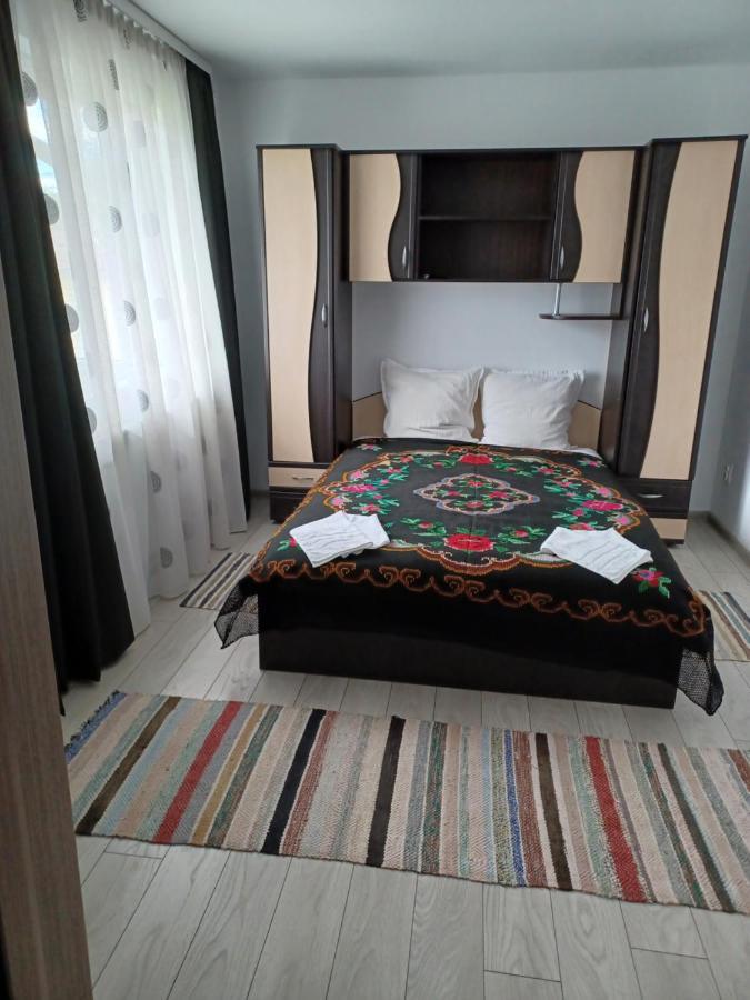 Affittacamere Casa Pandrea Cîrţişoara Esterno foto
