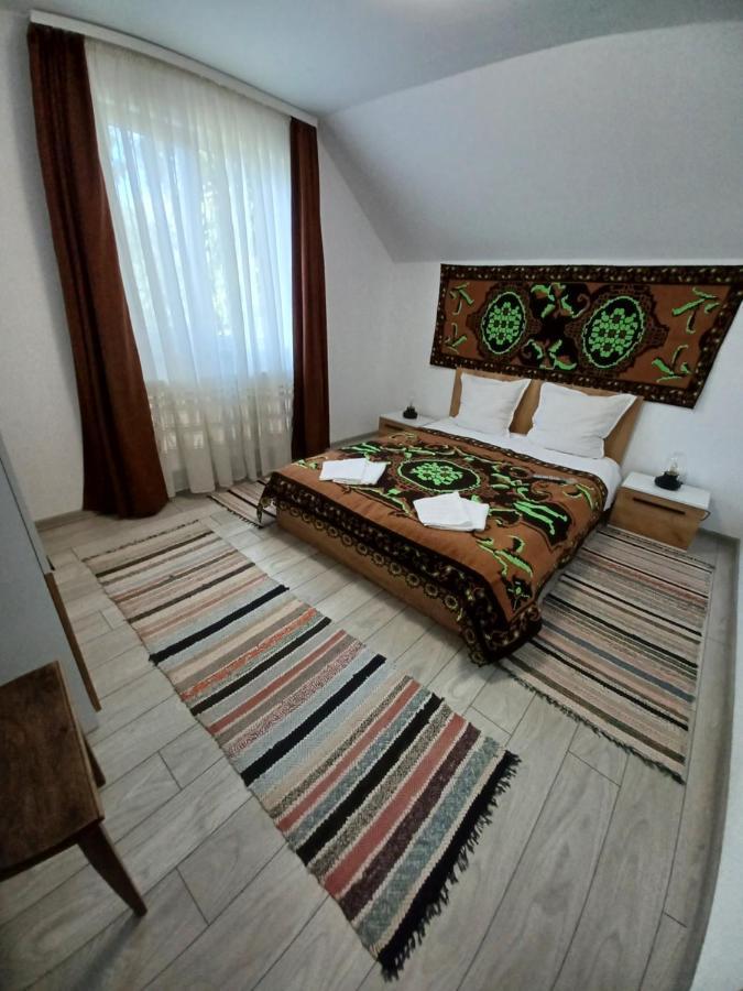 Affittacamere Casa Pandrea Cîrţişoara Esterno foto