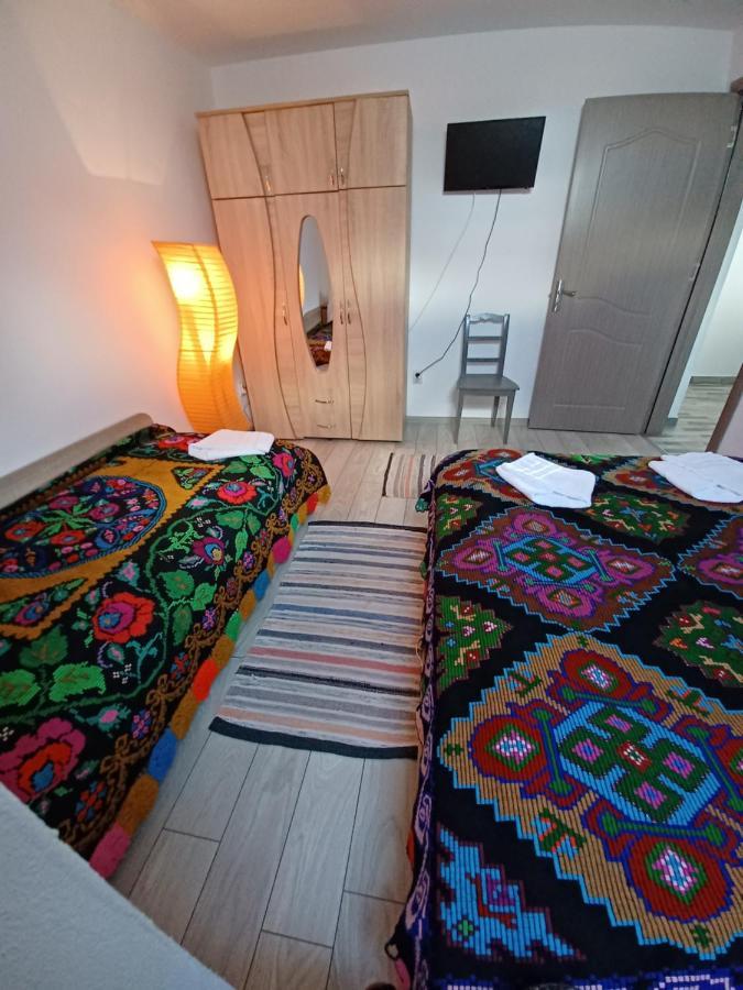 Affittacamere Casa Pandrea Cîrţişoara Esterno foto