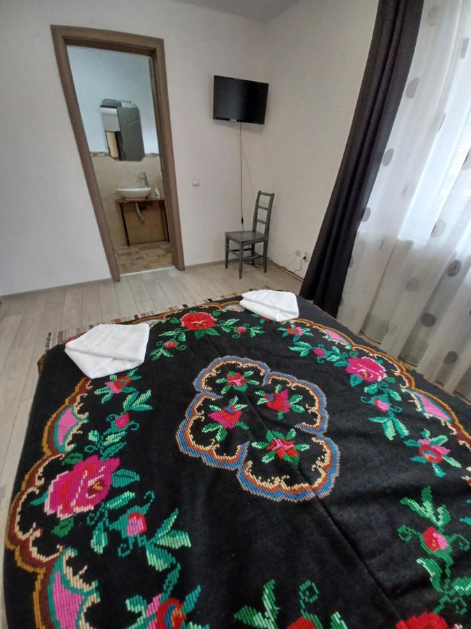 Affittacamere Casa Pandrea Cîrţişoara Esterno foto