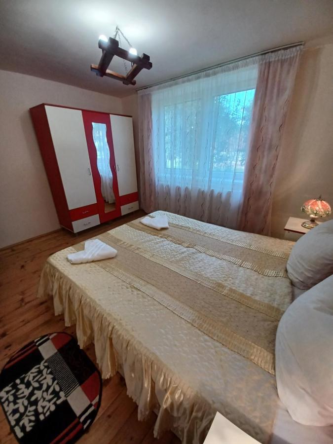 Affittacamere Casa Pandrea Cîrţişoara Esterno foto