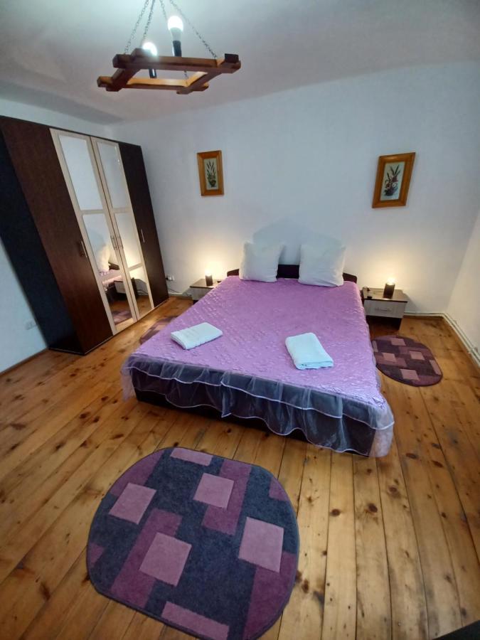 Affittacamere Casa Pandrea Cîrţişoara Esterno foto