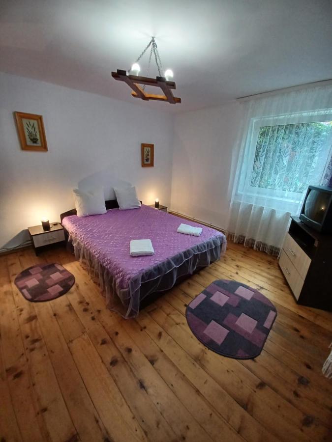 Affittacamere Casa Pandrea Cîrţişoara Esterno foto