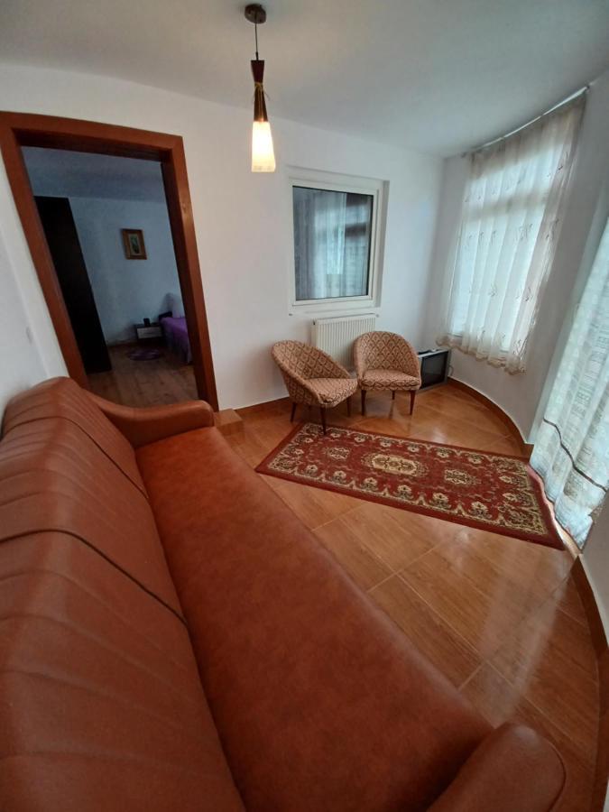 Affittacamere Casa Pandrea Cîrţişoara Esterno foto