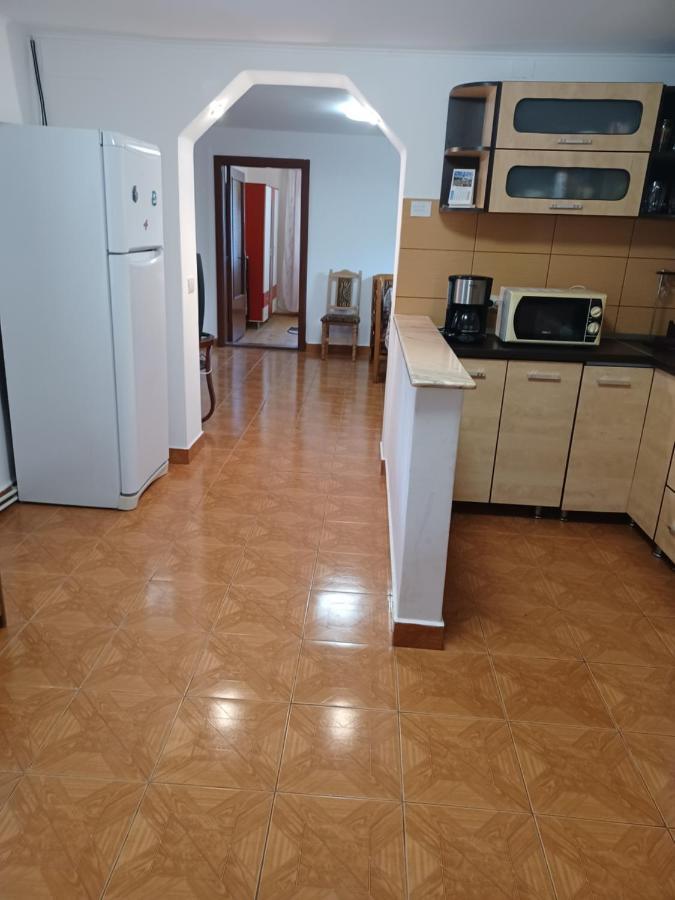 Affittacamere Casa Pandrea Cîrţişoara Esterno foto