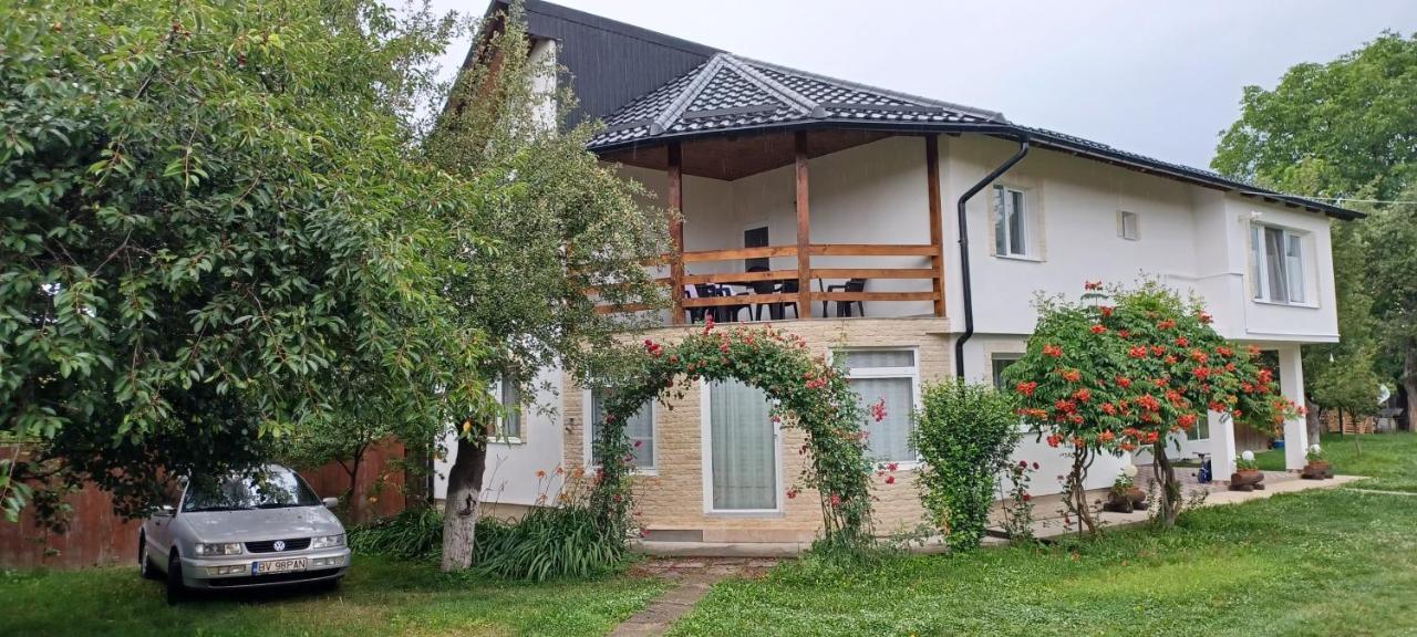 Affittacamere Casa Pandrea Cîrţişoara Esterno foto
