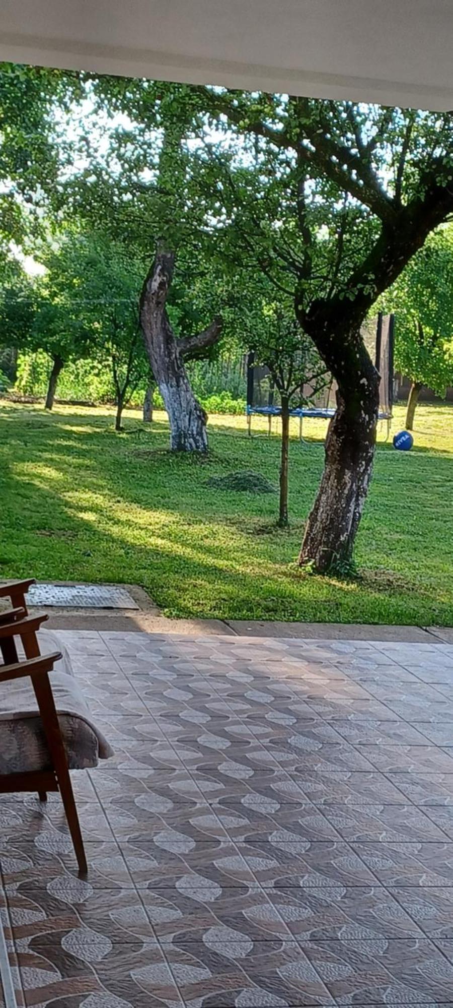 Affittacamere Casa Pandrea Cîrţişoara Esterno foto