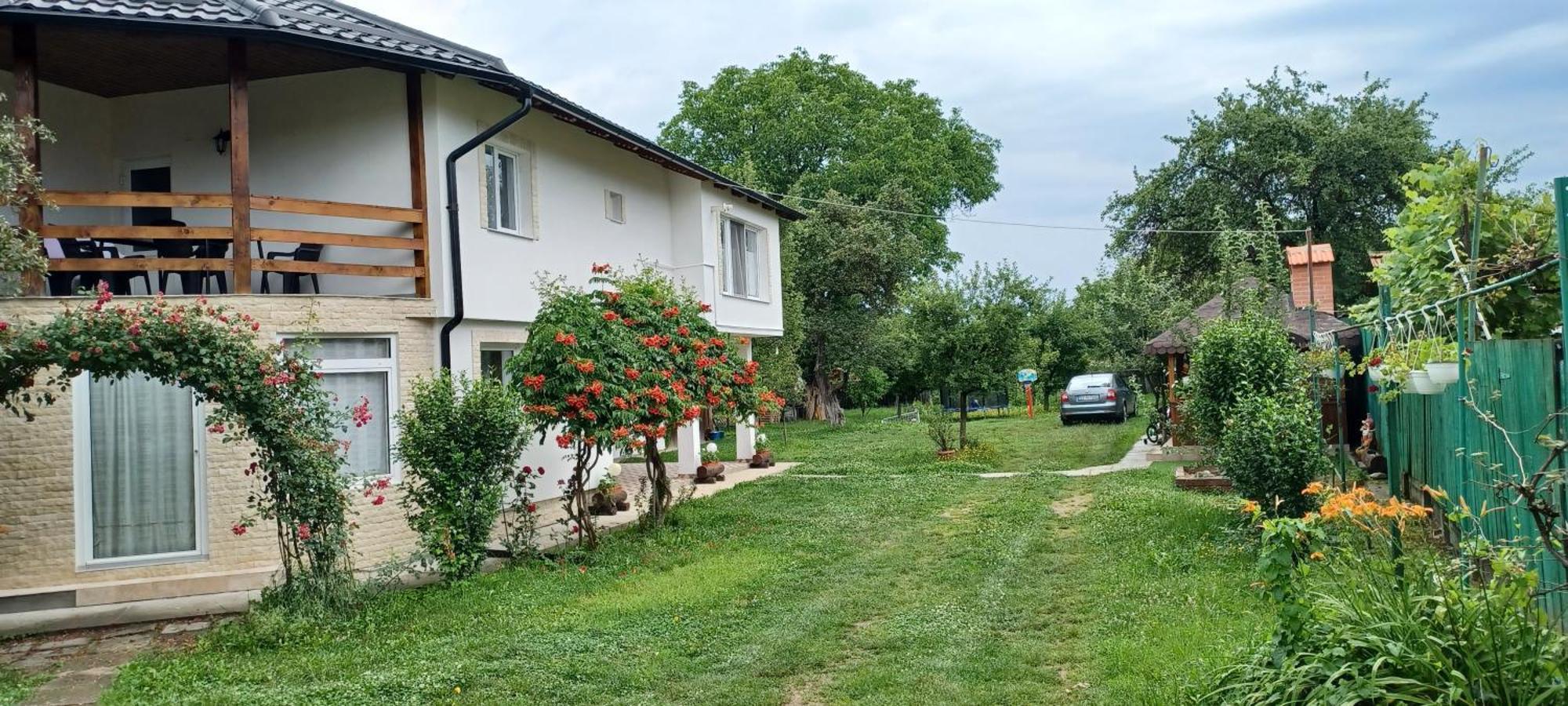 Affittacamere Casa Pandrea Cîrţişoara Esterno foto