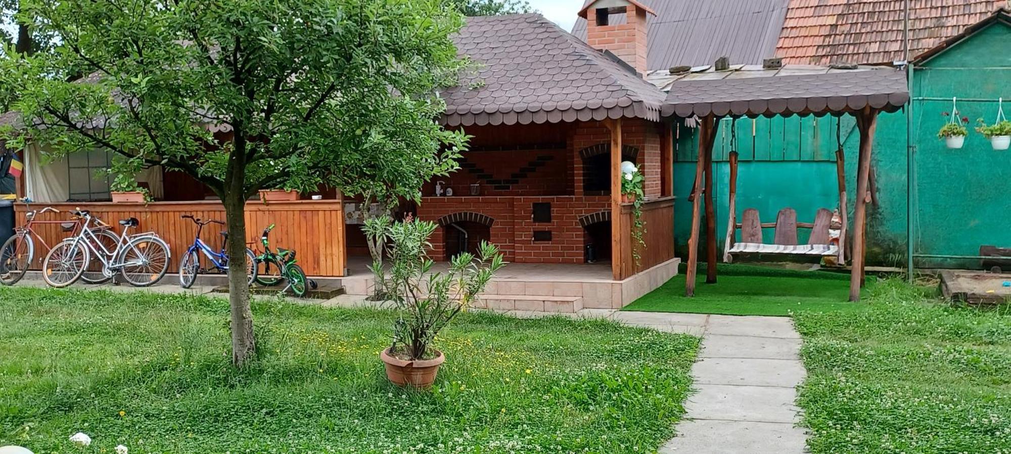 Affittacamere Casa Pandrea Cîrţişoara Esterno foto